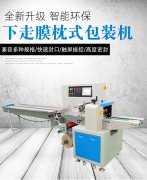 食品包裝機，專業包裝機定制，松盛包裝機廠家
